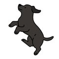 Outlined black Labrador jumping in side view illustration