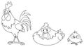 Outlined chicken family Royalty Free Stock Photo