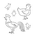 Outlined chicken family