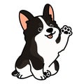 Outlined cute black colored Corgi sitting and waving hand