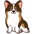 Outlined cute sable colored Corgi sitting in front view Royalty Free Stock Photo