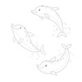 Outlined dolphins set. Coloring book illustration. Cartoon vector hand drawn eps 10 illustration isolated on white