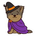 Outlined Halloween witch Yorkshire Terrier illustration sitting front view