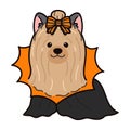 Outlined Halloween Yorkshire Terrier illustration sitting front view