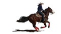 Rodeo cowgirl galloping like the wind Royalty Free Stock Photo