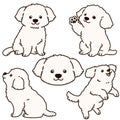 Outlined simple and adorable white Maltese dog illustrations