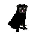 Outlined simple and cute black pug sitting in front view
