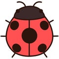 Outlined simple and cute Ladybug