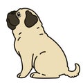 Outlined simple and cute pug sitting in side view