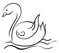 Outlined sketch of a black swan over white background viewed from the side, vector or color illustration Royalty Free Stock Photo