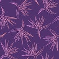 Outlined strelitzia flower bird of paradise seamless pattern Royalty Free Stock Photo