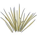 Outlined vector isolated reed. Water plants in different variants, white background Royalty Free Stock Photo