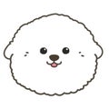 Outlined white Bichon Frise front face