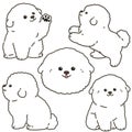 Outlined white Bichon Frise illustrations set