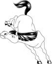 Outlined Wild Horse Cartoon Mascot Character Jumping