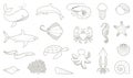 The outlines of fish and other sea creatures Royalty Free Stock Photo