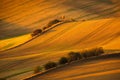 Outlook between fields in Moravian Tuscany Royalty Free Stock Photo