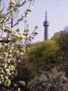 Outlook tower in the park, prague, petrin Royalty Free Stock Photo