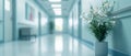 Outoffocus Reception Clinic In A Hospital Hallway, Creating A Serene Ambiance Royalty Free Stock Photo