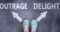 Outrage and delight as different choices in life - pictured as words Outrage, delight on a road to symbolize making decision and