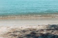 Outrageous The Shadow Tree Adjacent To The Beach Together With The Blue Water In The Daytime Royalty Free Stock Photo