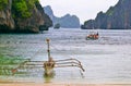 Outrigger Boat in Lagoon Royalty Free Stock Photo