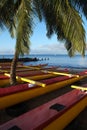 Outrigger Canoes with Palm trees Maui Hawaii Royalty Free Stock Photo