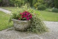 Outside concrete flower pot with summer plant