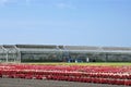 Outside flower nursery and greenhouse horticulture