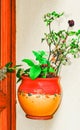 outside planter, hanging on stuco wall, next to wood, door frame, Sablet, France Royalty Free Stock Photo