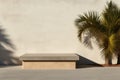 Outside podium. Palm tree leaf and concrete bench, product display, scene or stage against a creamy ivory or white wall Royalty Free Stock Photo