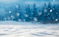 Outside scenery with blurred forest and snowflakes. Winter holidays idea. Royalty Free Stock Photo