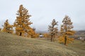 Outskirts of the village in autumn. lonely house on a hill, far from the village Royalty Free Stock Photo