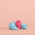 Outstanding pink painted strawberry among blue painted strawberries on pastel pink background Royalty Free Stock Photo