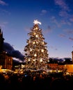 Gorgious Christmas tree in the middle of the city