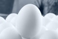 Outstanding white egg in extreme macro key. Royalty Free Stock Photo