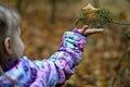 Outstretched hand of child. Wondering by spruce branch. Autumn fall. Kid`s interest. Dried leaf. Royalty Free Stock Photo