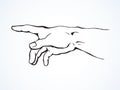 To point with finger. Vector drawing