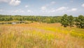 Outwash Overlook, Indian Springs Metropark, MI Royalty Free Stock Photo