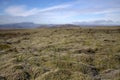 Outwash plain and moss somewhere in Iceland Royalty Free Stock Photo
