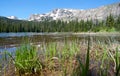 Ouzel lake Lake in Rocky Mountains in summer Royalty Free Stock Photo