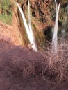 Ouzoud waterfalls Morocco Royalty Free Stock Photo