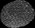 Oval Bubble Wrap Texture. Industrial overlay Royalty Free Stock Photo