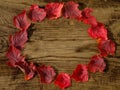 oval circle Border Frame of red colored autumn maple leaves falling on wooden background Royalty Free Stock Photo