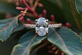 Oval Cut diamond engagement ring with natural leaves, closeup Royalty Free Stock Photo