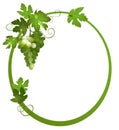 Oval frame with a bunch of grapes - eps