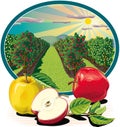 Oval frame with cut and whole apple