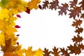 Oval frame made of autumn yellow, red and brown maple, oak and wild grapes leaves isolated on white background Royalty Free Stock Photo