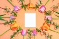 Oval frame made of colorful pink and orange tulips and cherry blossom twigs on peachy paper background with white notebook sheet.