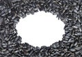 Oval frame made of sunflower seeds. Isolated Royalty Free Stock Photo